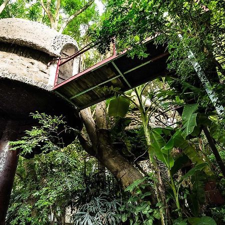 Dao Anh Khanh Tree House Hanoi Exteriör bild