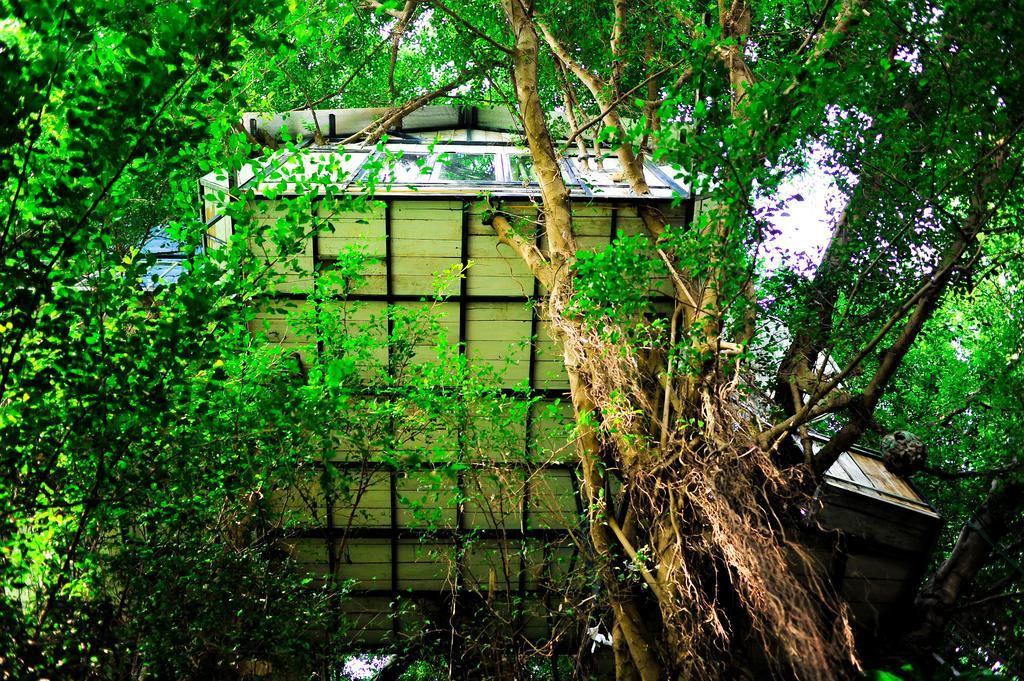 Dao Anh Khanh Tree House Hanoi Rum bild