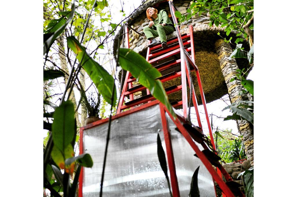 Dao Anh Khanh Tree House Hanoi Rum bild