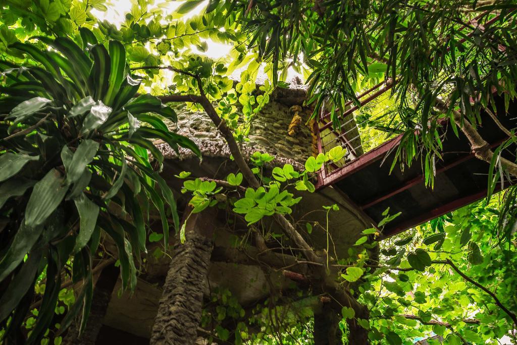 Dao Anh Khanh Tree House Hanoi Exteriör bild
