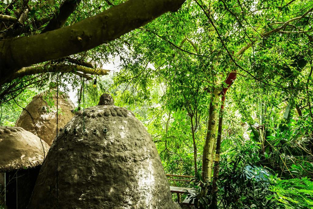 Dao Anh Khanh Tree House Hanoi Exteriör bild