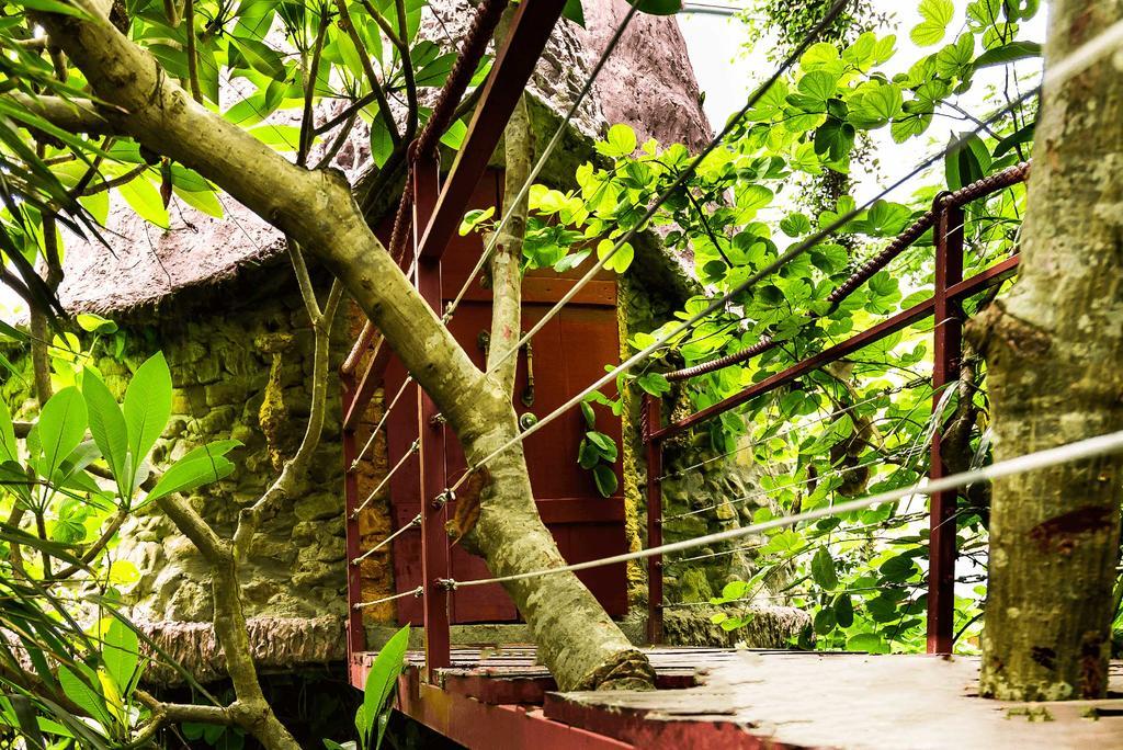 Dao Anh Khanh Tree House Hanoi Exteriör bild