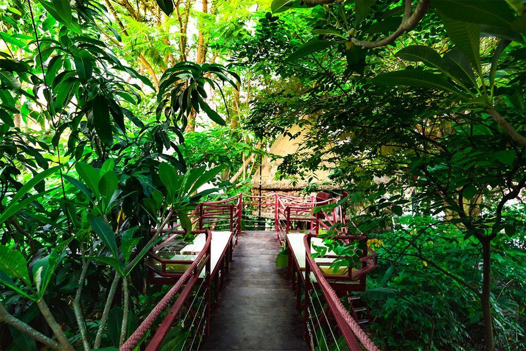 Dao Anh Khanh Tree House Hanoi Exteriör bild