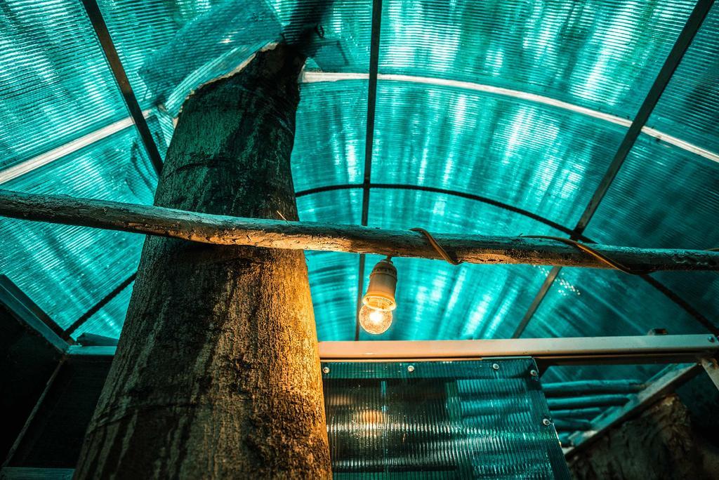 Dao Anh Khanh Tree House Hanoi Exteriör bild