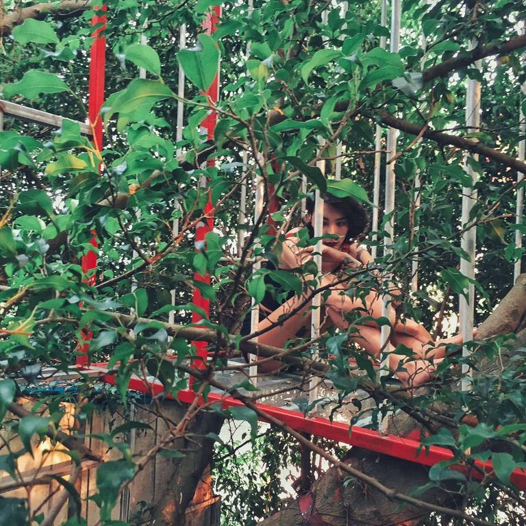 Dao Anh Khanh Tree House Hanoi Exteriör bild
