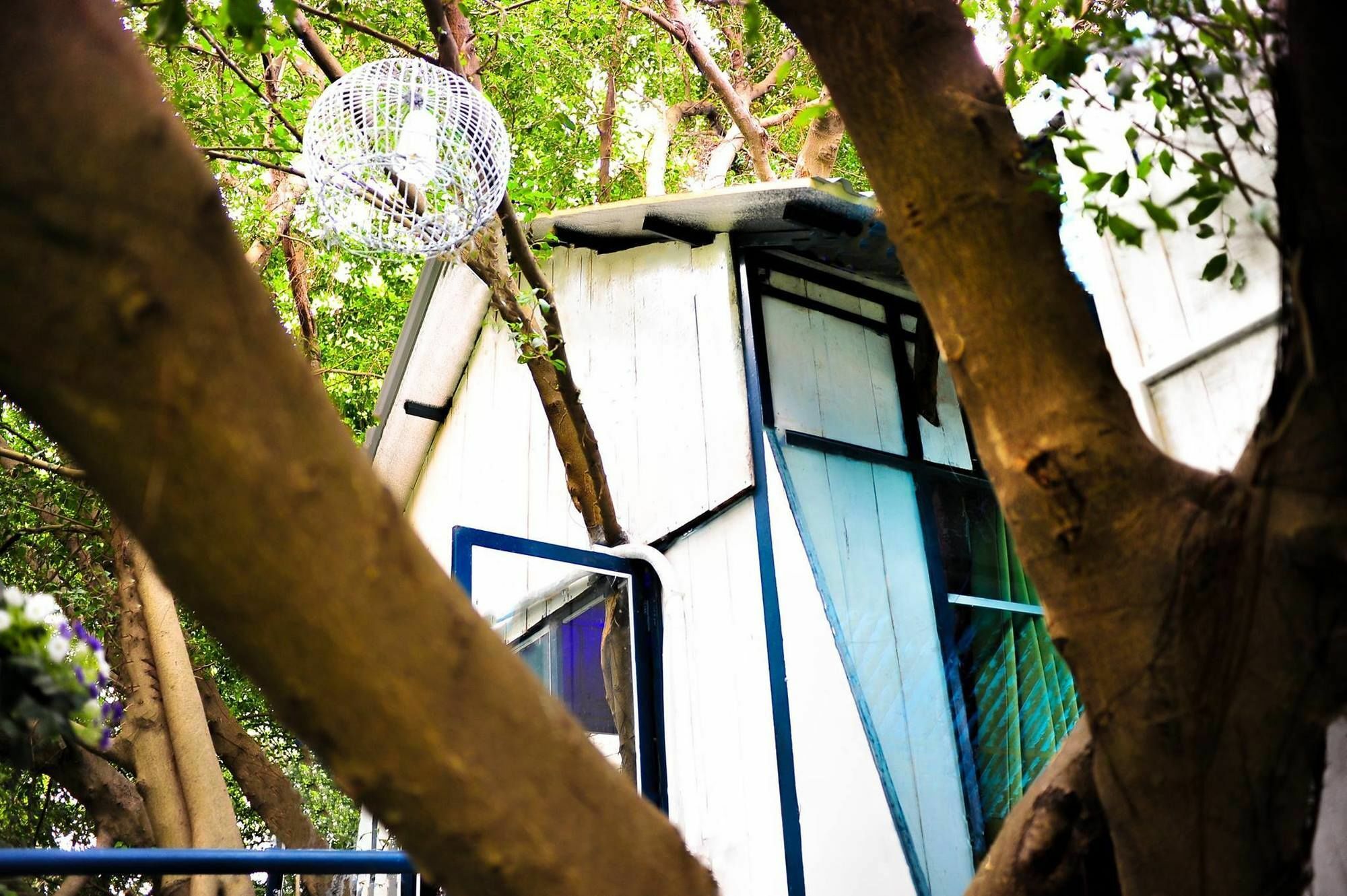 Dao Anh Khanh Tree House Hanoi Exteriör bild